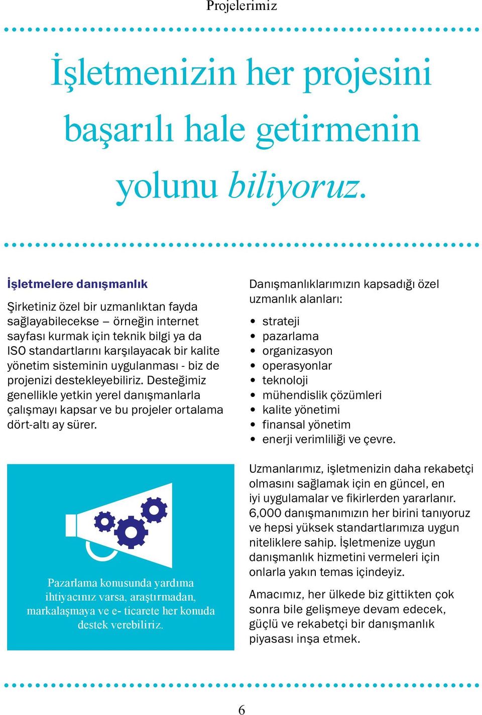 uygulanması - biz de projenizi destekleyebiliriz. Desteğimiz genellikle yetkin yerel danışmanlarla çalışmayı kapsar ve bu projeler ortalama dört-altı ay sürer.