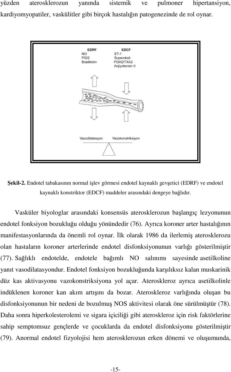 Vasküler biyologlar arasındaki konsensüs aterosklerozun balangıç lezyonunun endotel fonksiyon bozukluu olduu yönündedir (76). Ayrıca koroner arter hastalıının manifestasyonlarında da önemli rol oynar.