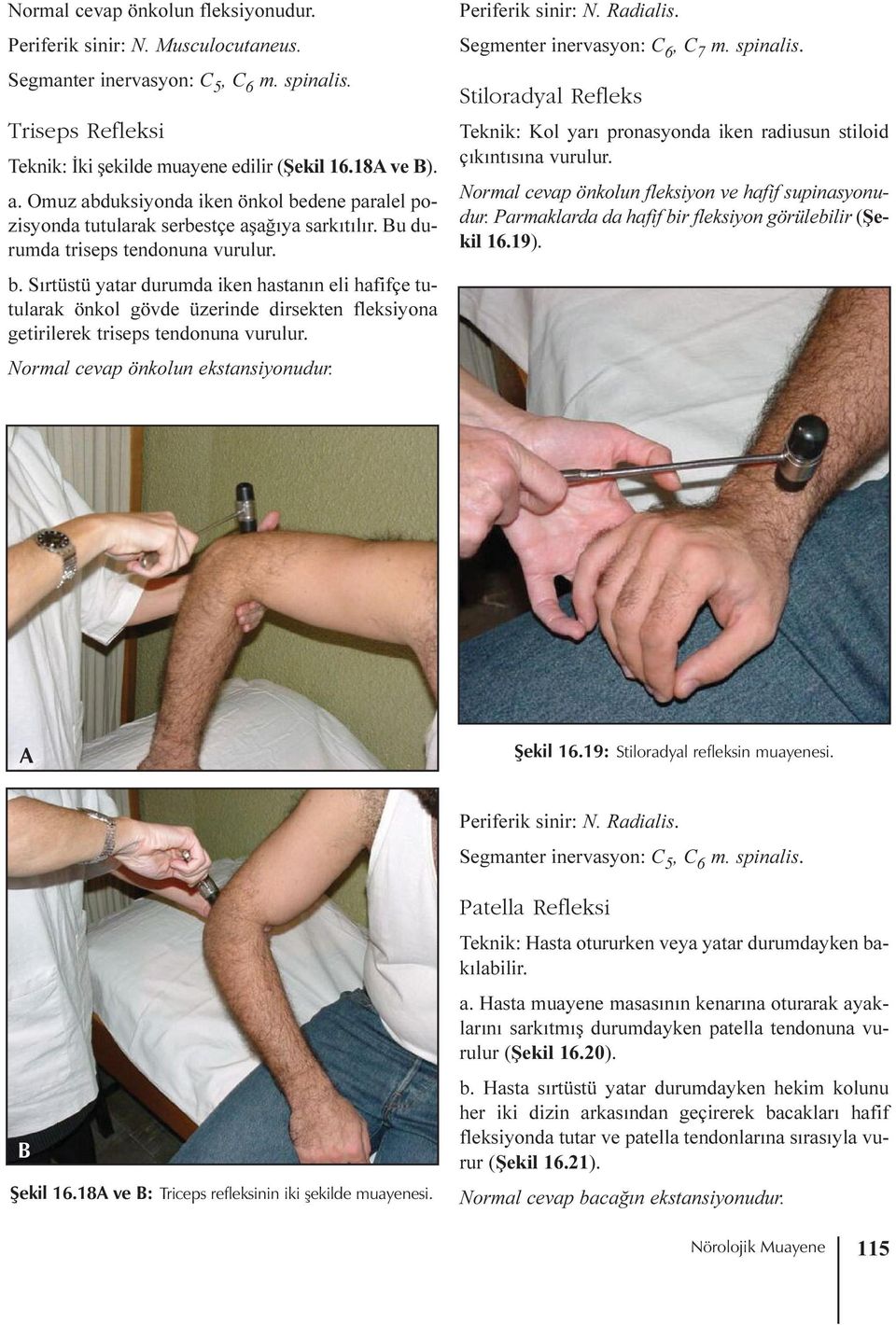 Normal cevap önkolun ekstansiyonudur. Periferik sinir: N. Radialis. Segmenter inervasyon: C 6, C 7 m. spinalis.