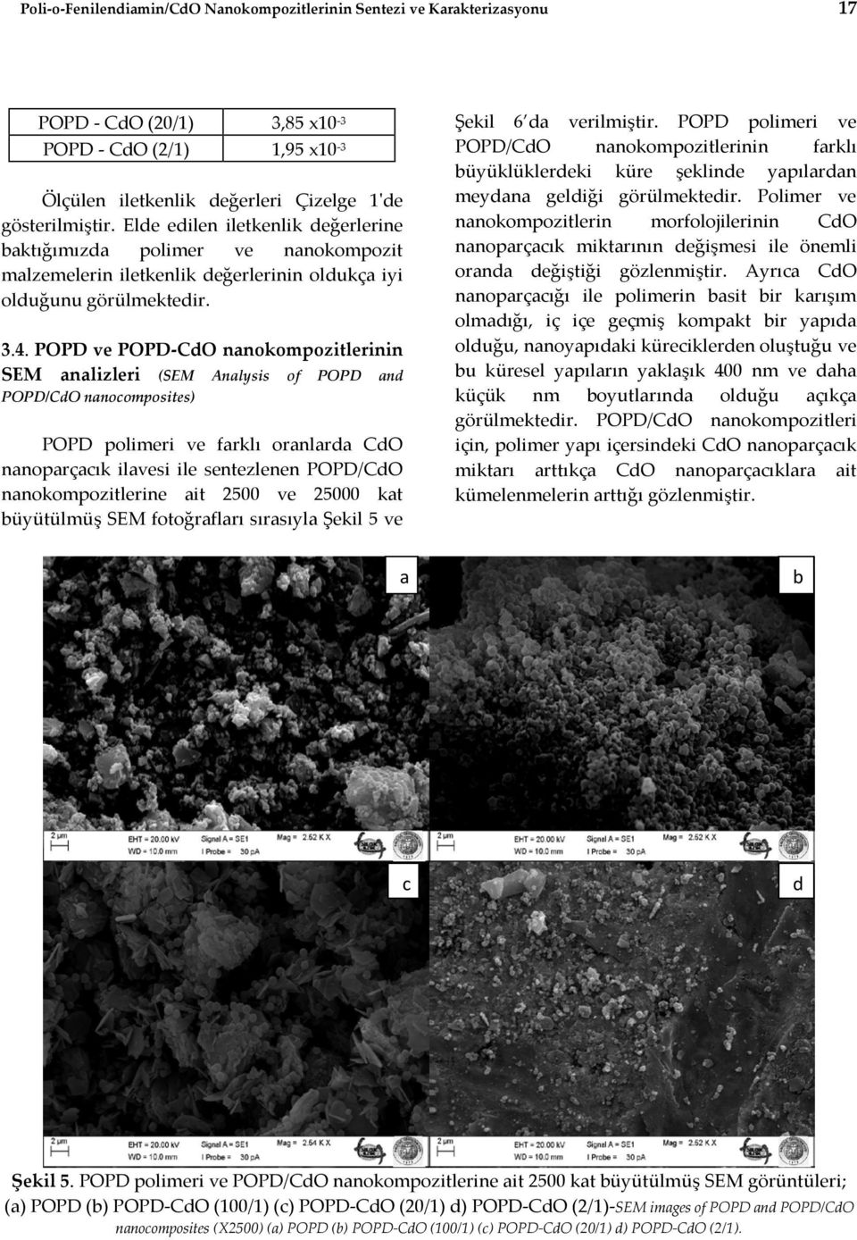 POPD ve POPD-CdO nanokompozitlerinin SEM analizleri (SEM Analysis of POPD and POPD/CdO nanocomposites) POPD polimeri ve farklı oranlarda CdO nanoparçacık ilavesi ile sentezlenen POPD/CdO