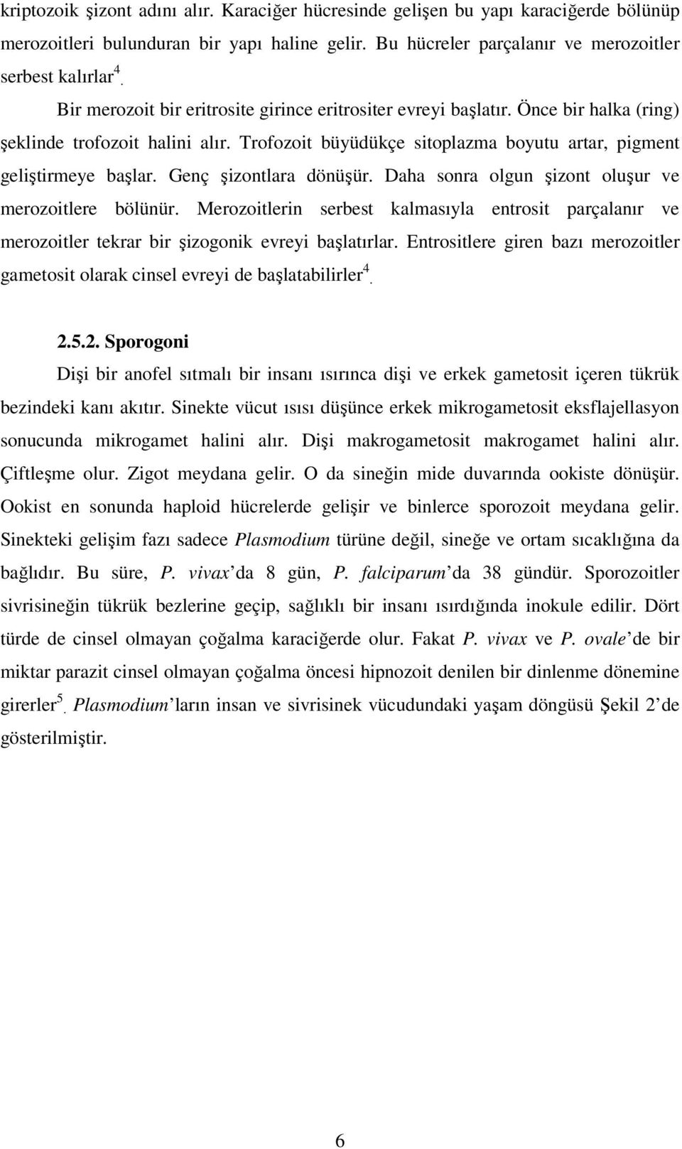 Genç şizontlara dönüşür. Daha sonra olgun şizont oluşur ve merozoitlere bölünür. Merozoitlerin serbest kalmasıyla entrosit parçalanır ve merozoitler tekrar bir şizogonik evreyi başlatırlar.