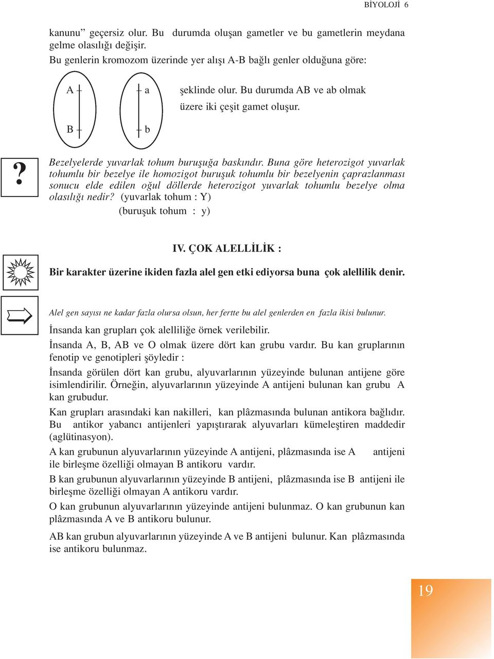 Buna göre heterozigot yuvarlak tohumlu bir bezelye ile homozigot burufluk tohumlu bir bezelyenin çaprazlanmas sonucu elde edilen o ul döllerde heterozigot yuvarlak tohumlu bezelye olma olas l nedir?