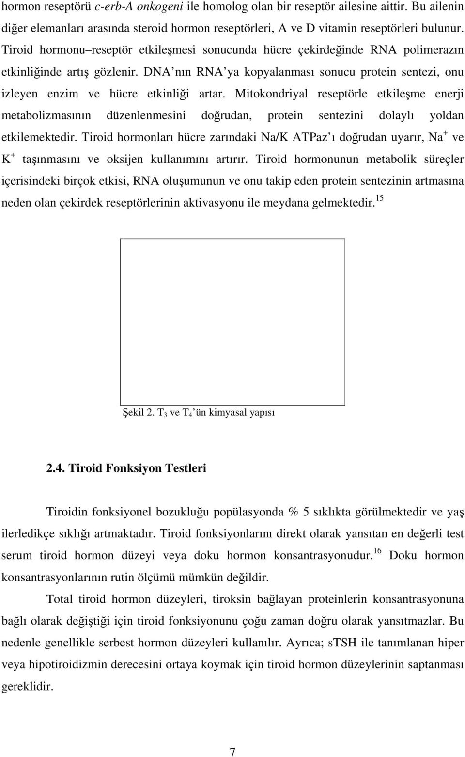 DNA nın RNA ya kopyalanması sonucu protein sentezi, onu izleyen enzim ve hücre etkinliği artar.