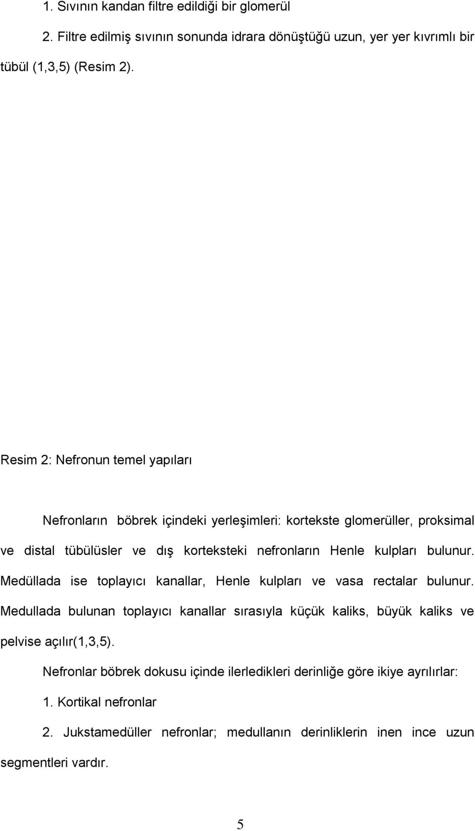 bulunur. Medüllada ise toplayıcı kanallar, Henle kulpları ve vasa rectalar bulunur.