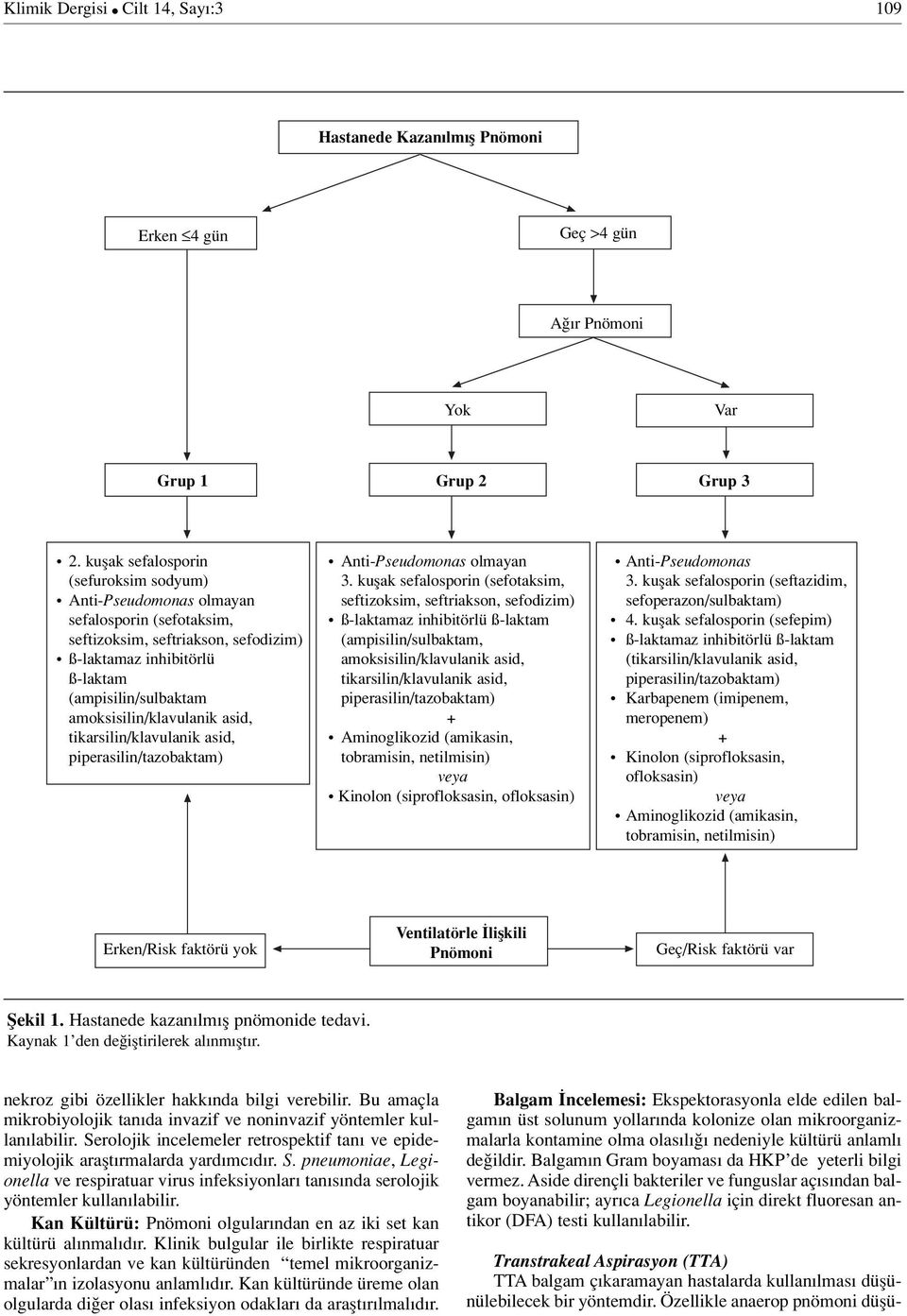 amoksisilin/klavulanik asid, tikarsilin/klavulanik asid, piperasilin/tazobaktam) Anti-Pseudomonas olmayan 3.