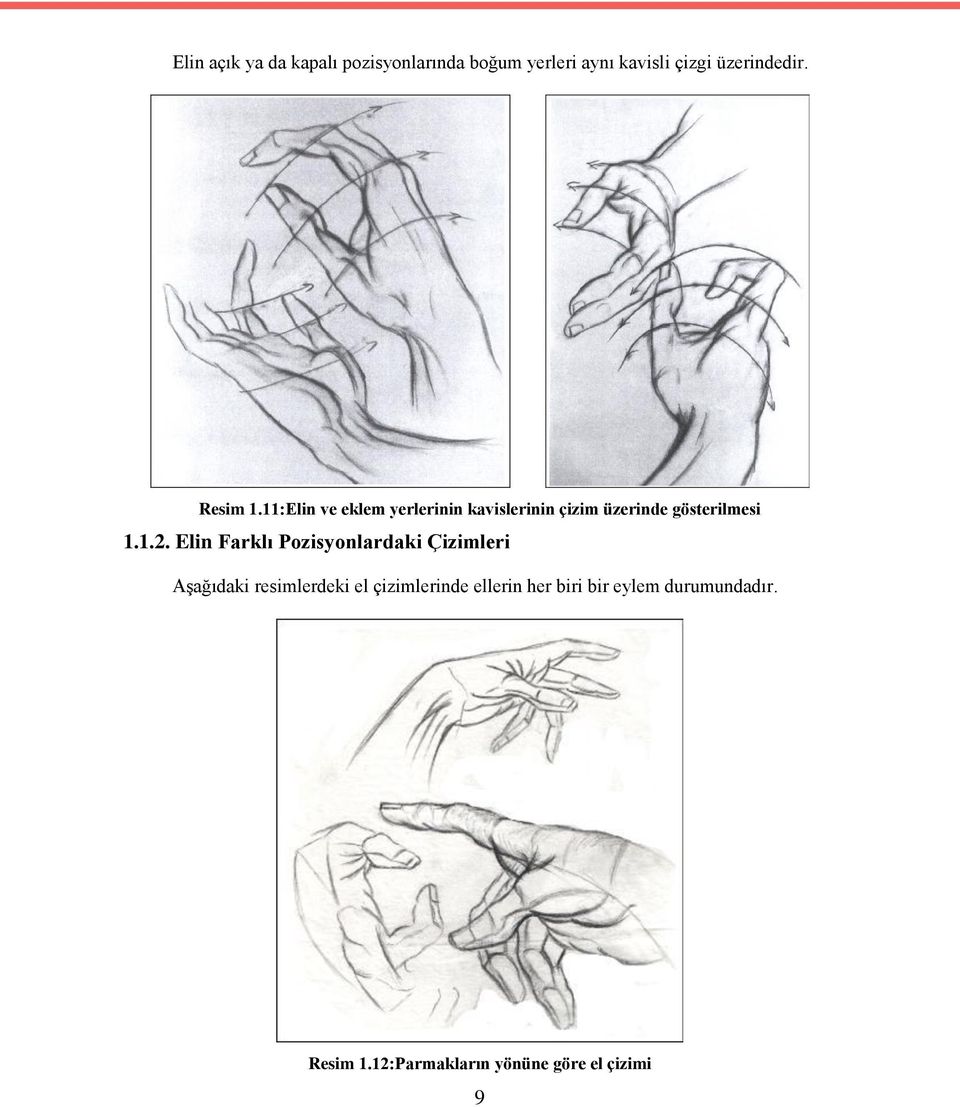Elin Farklı Pozisyonlardaki Çizimleri Aşağıdaki resimlerdeki el çizimlerinde