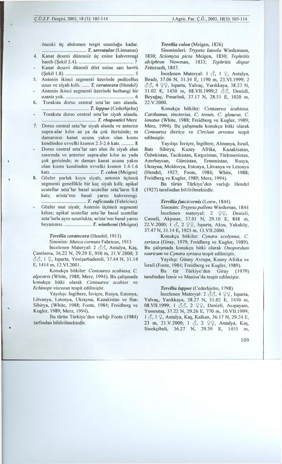 Antenin ikinci segmenti üzerinde pedicellus uzun ve siyah k ıllı 71 ceratocera (Hendel) Antenin ikinci segmenti üzerinde herhangi bir uzantı yok... 6 6. Toraksta dorso central seta lar sarı alanda.