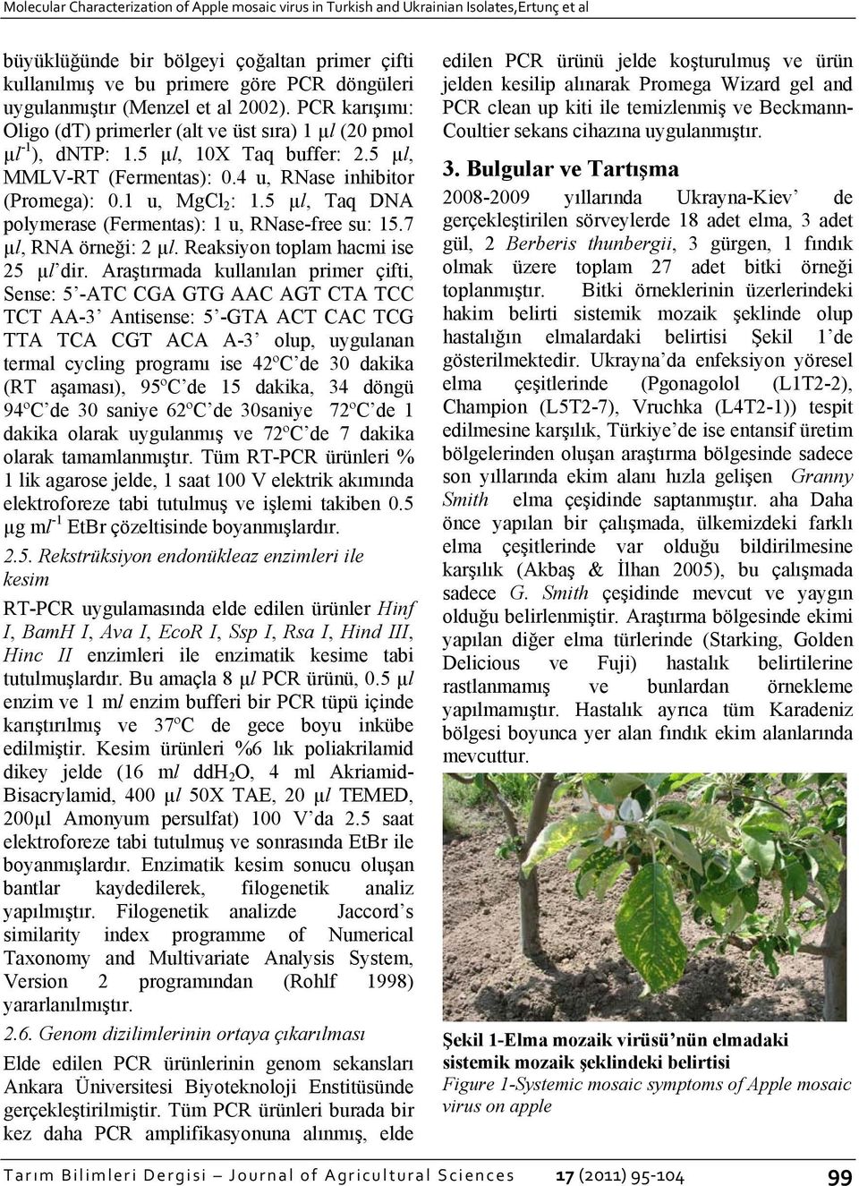 4 u, RNase inhibitor (Promega): 0.1 u, MgCl 2 : 1.5 µl, Taq DNA polymerase (Fermentas): 1 u, RNase-free su: 15.7 µl, RNA örneği: 2 µl. Reaksiyon toplam hacmi ise 25 µl dir.