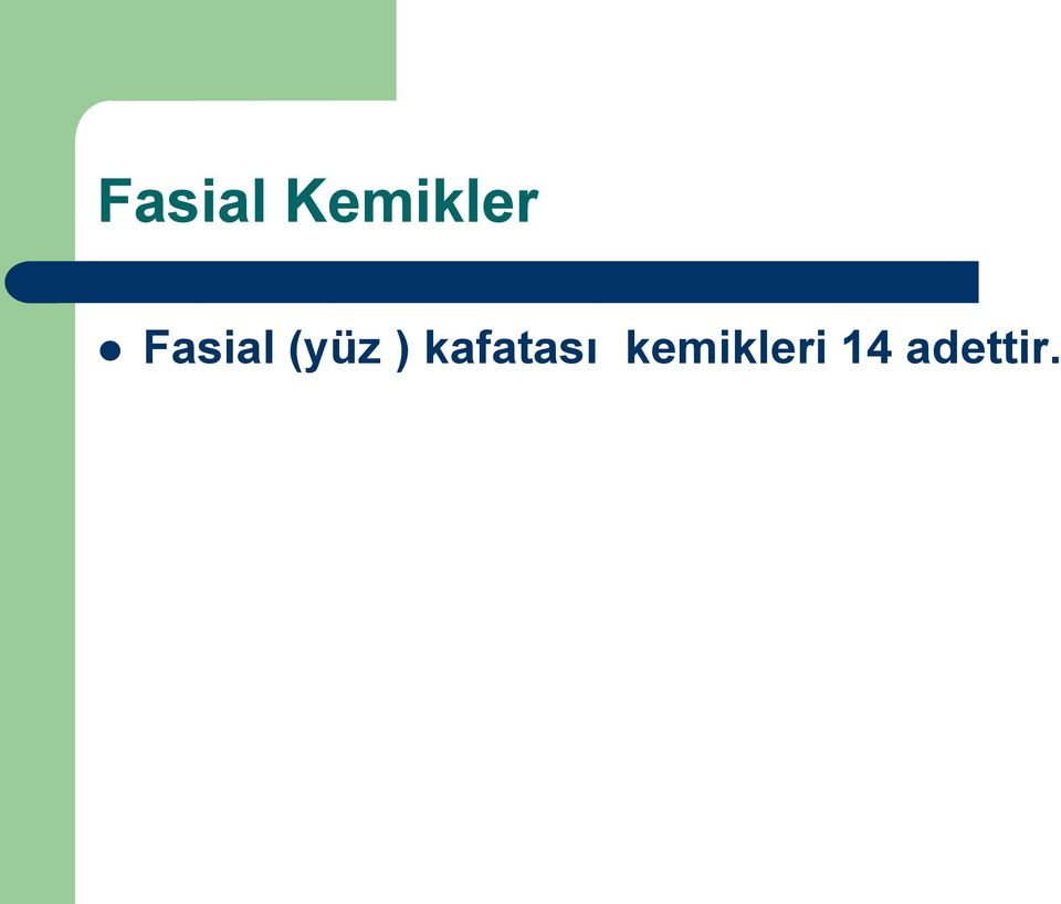 ) kafatası