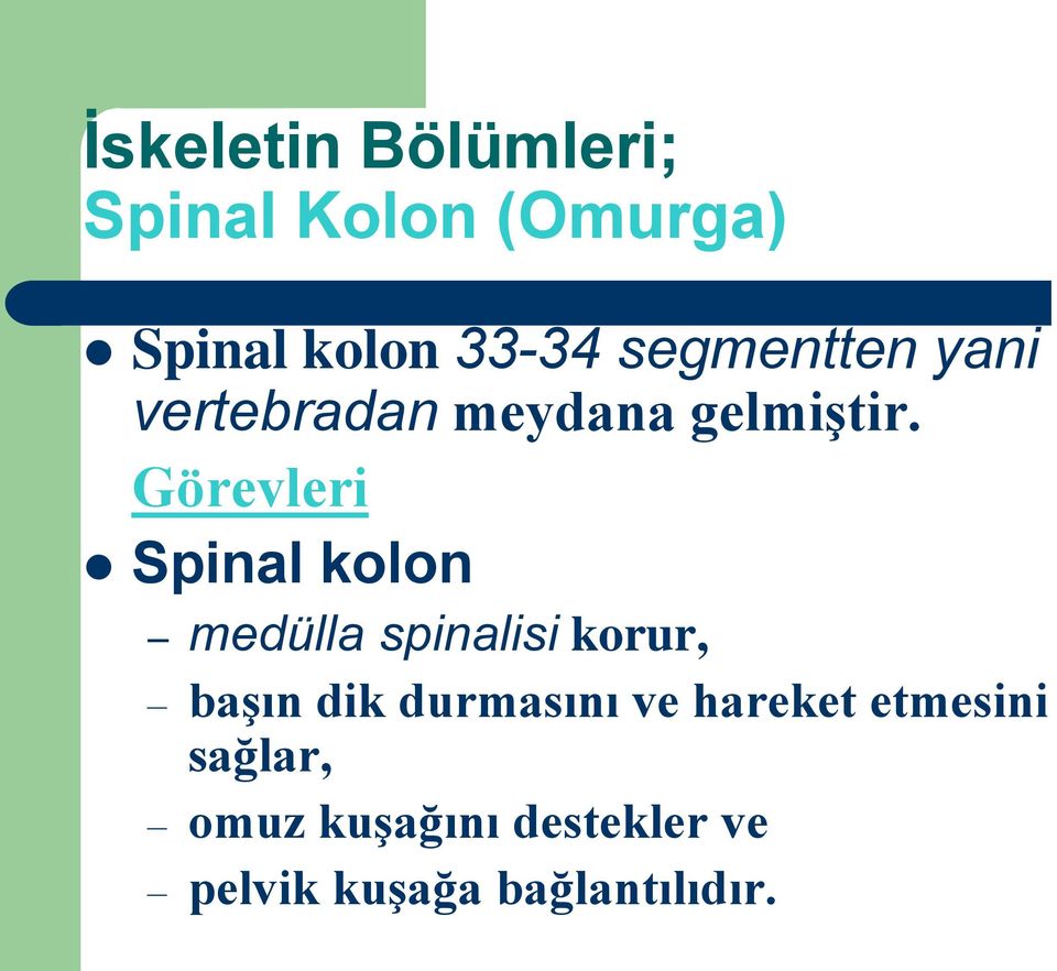 Görevleri Spinal kolon medülla spinalisi korur, başın dik