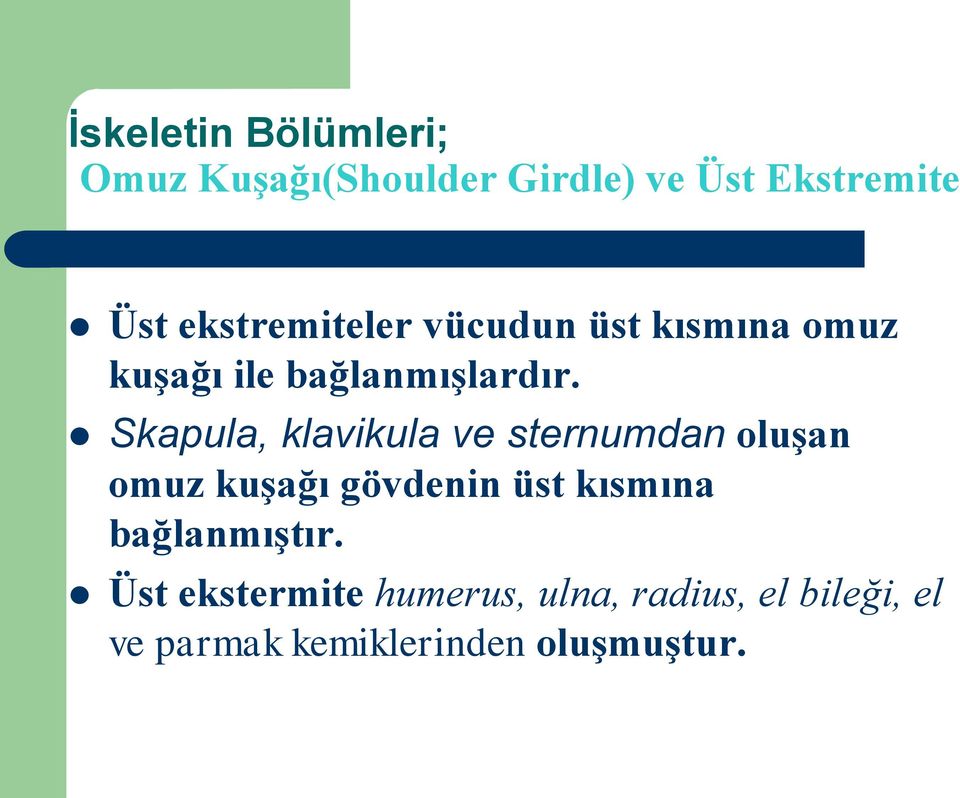 Skapula, klavikula ve sternumdan oluşan omuz kuşağı gövdenin üst kısmına