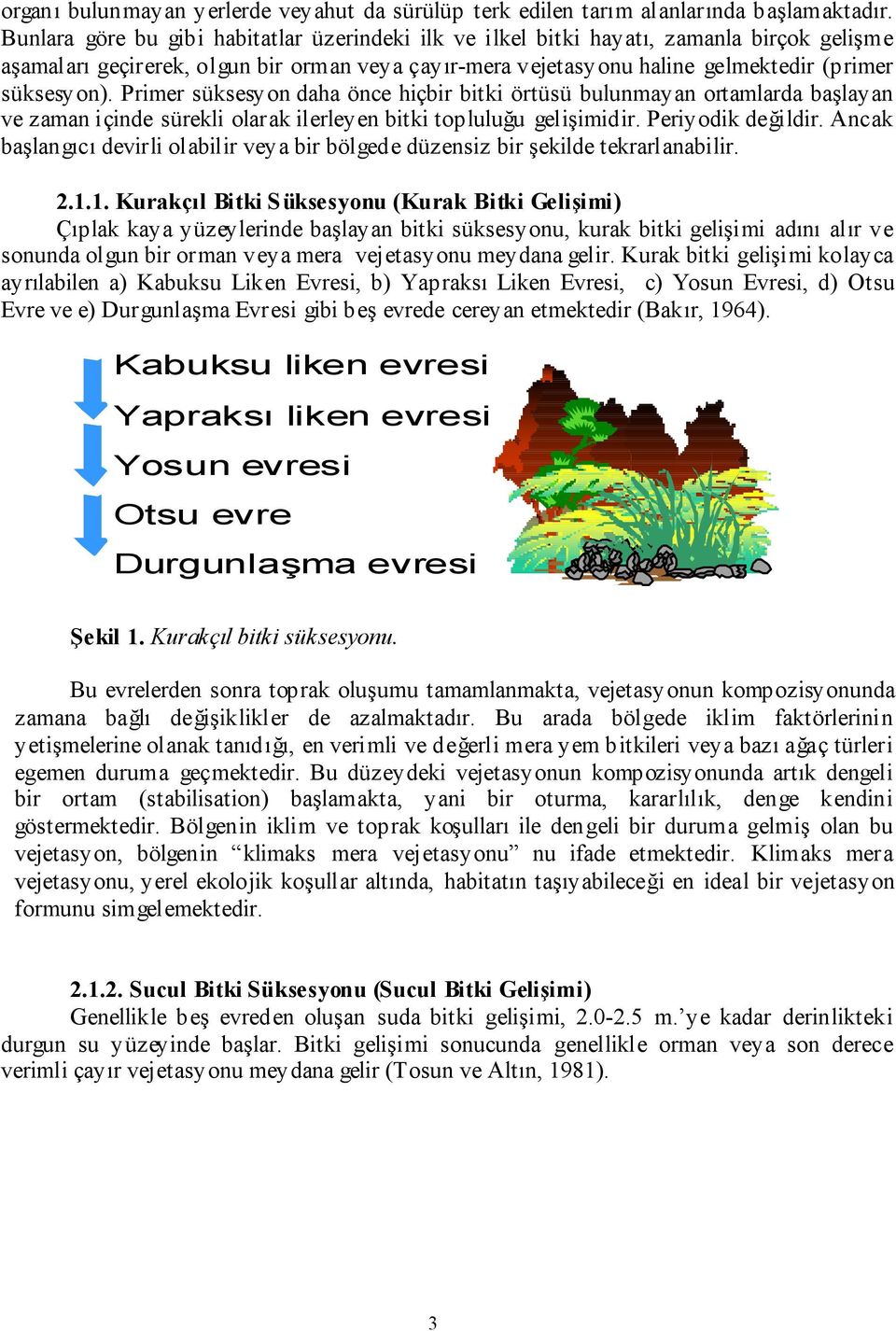 Primer süksesyon daha önce hiçbir bitki örtüsü bulunmayan ortamlarda başlayan ve zaman içinde sürekli olarak ilerleyen bitki topluluğu gelişimidir. Periyodik değildir.