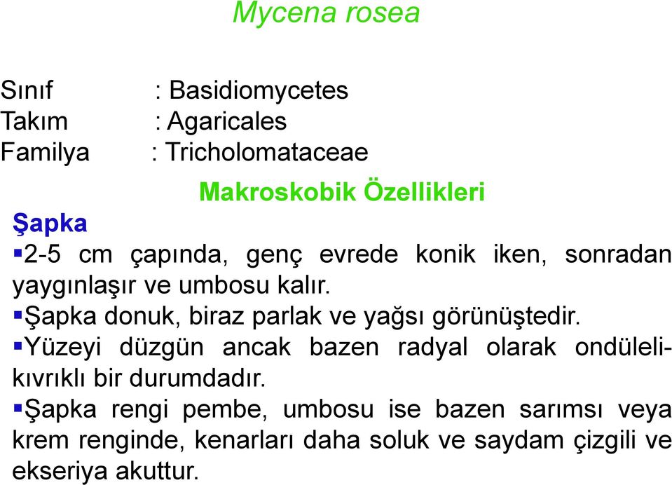 Şapka donuk, biraz parlak ve yağsı görünüştedir.