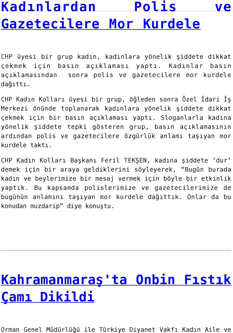 CHP Kadın Kolları üyesi bir grup, öğleden sonra Özel İdari İş Merkezi önünde toplanarak kadınlara yönelik şiddete dikkat çekmek için bir basın açıklaması yaptı.