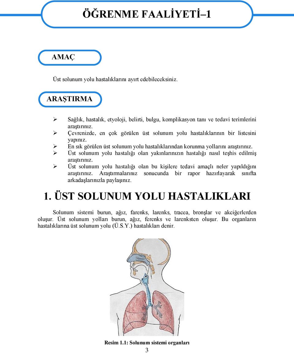 En sık görülen üst solunum yolu hastalıklarından korunma yollarını araģtırınız. Üst solunum yolu hastalığı olan yakınlarınızın hastalığı nasıl teģhis edilmiģ araģtırınız.