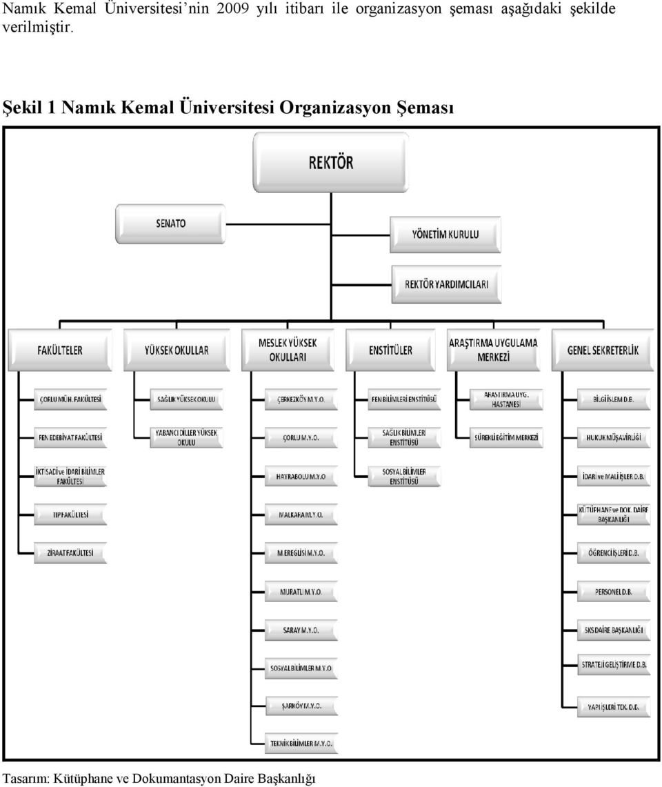 Şekil 1 Namık Kemal Üniversitesi Organizasyon