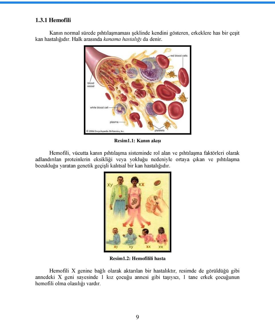 1: Kanın akıģı Hemofili, vücutta kanın pıhtılaģma sisteminde rol alan ve pıhtılaģma faktörleri olarak adlandırılan proteinlerin eksikliği veya yokluğu nedeniyle