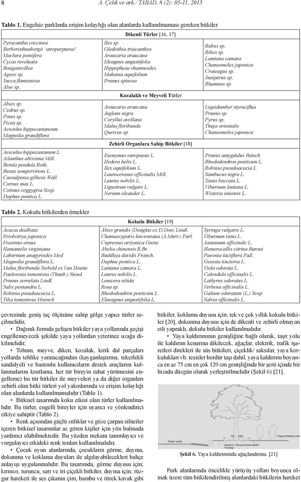 Ailanthus altissima Mill. Betula pendula Roth. Buxus sempervirens L. Caesalpinia gilliesii Wall. Cornus mas L. Cotinus coggygria Scop. Daphne pontica L. Dikenli Türler [16, 17] Ilex sp.