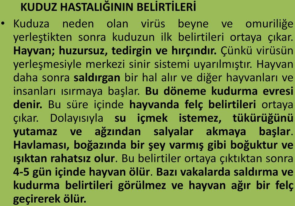 Bu döneme kudurma evresi denir. Bu süre içinde hayvanda felç belirtileri ortaya çıkar. Dolayısıyla su içmek istemez, tükürüğünü yutamaz ve ağzından salyalar akmaya başlar.