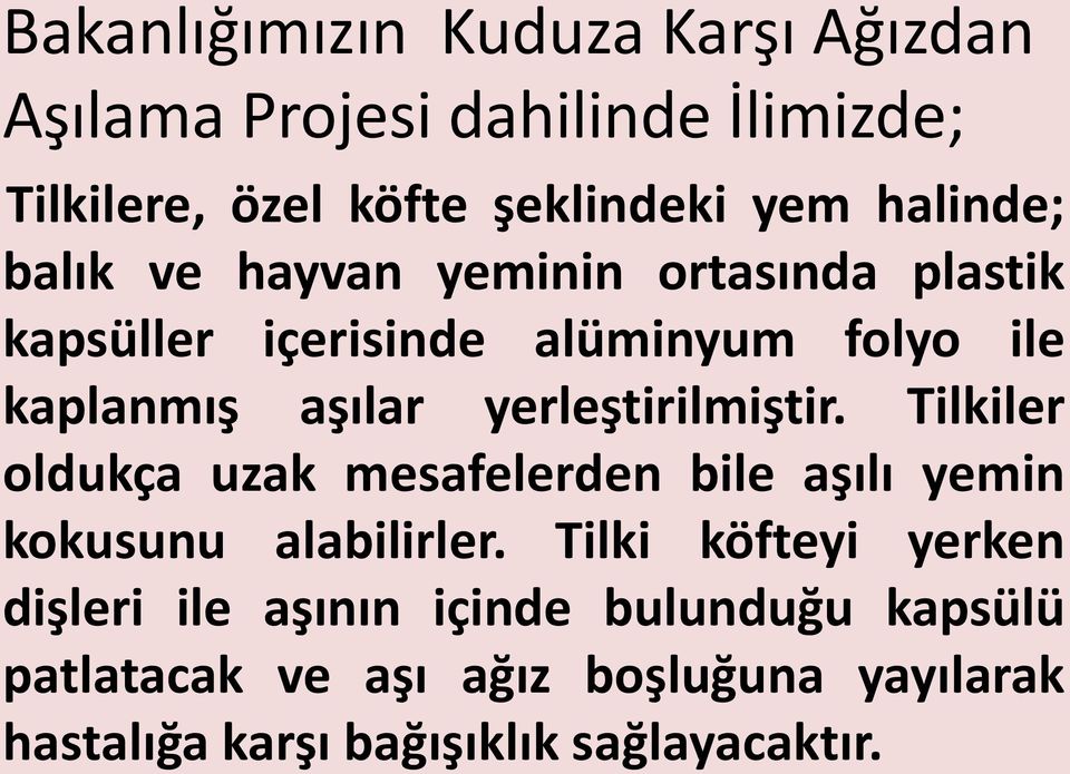 yerleştirilmiştir. Tilkiler oldukça uzak mesafelerden bile aşılı yemin kokusunu alabilirler.