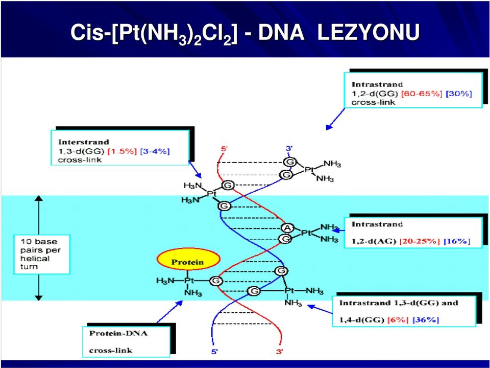 Cl 2 ] -