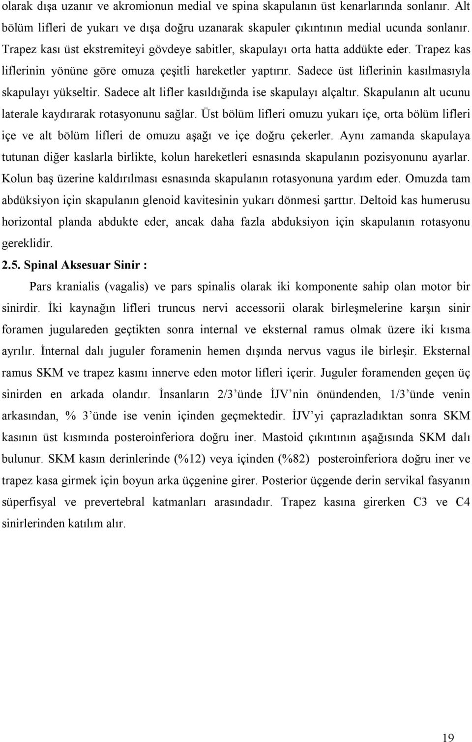 Sadece üst liflerinin kasılmasıyla skapulayı yükseltir. Sadece alt lifler kasıldığında ise skapulayı alçaltır. Skapulanın alt ucunu laterale kaydırarak rotasyonunu sağlar.