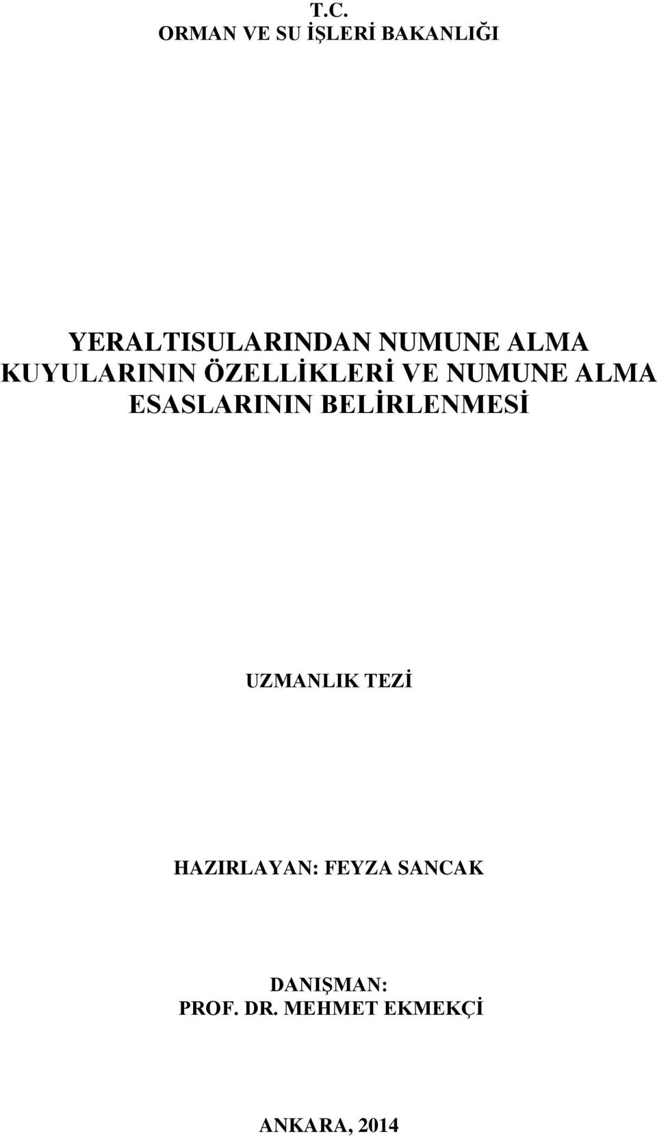 ESASLARININ BELİRLENMESİ UZMANLIK TEZİ HAZIRLAYAN: