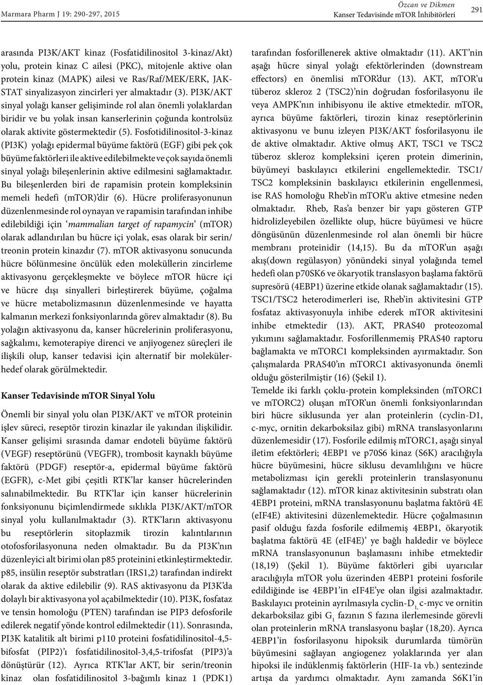 PI3K/AKT sinyal yolağı kanser gelişiminde rol alan önemli yolaklardan biridir ve bu yolak insan kanserlerinin çoğunda kontrolsüz olarak aktivite göstermektedir (5).