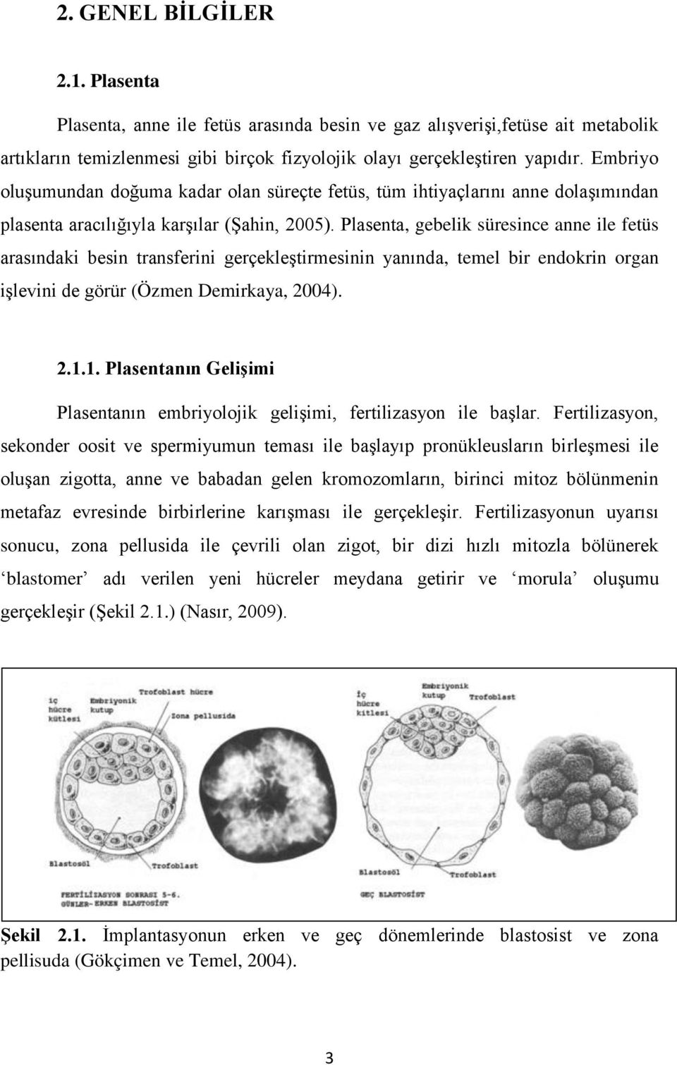 Plasenta, gebelik süresince anne ile fetüs arasındaki besin transferini gerçekleştirmesinin yanında, temel bir endokrin organ işlevini de görür (Özmen Demirkaya, 2004). 2.1.