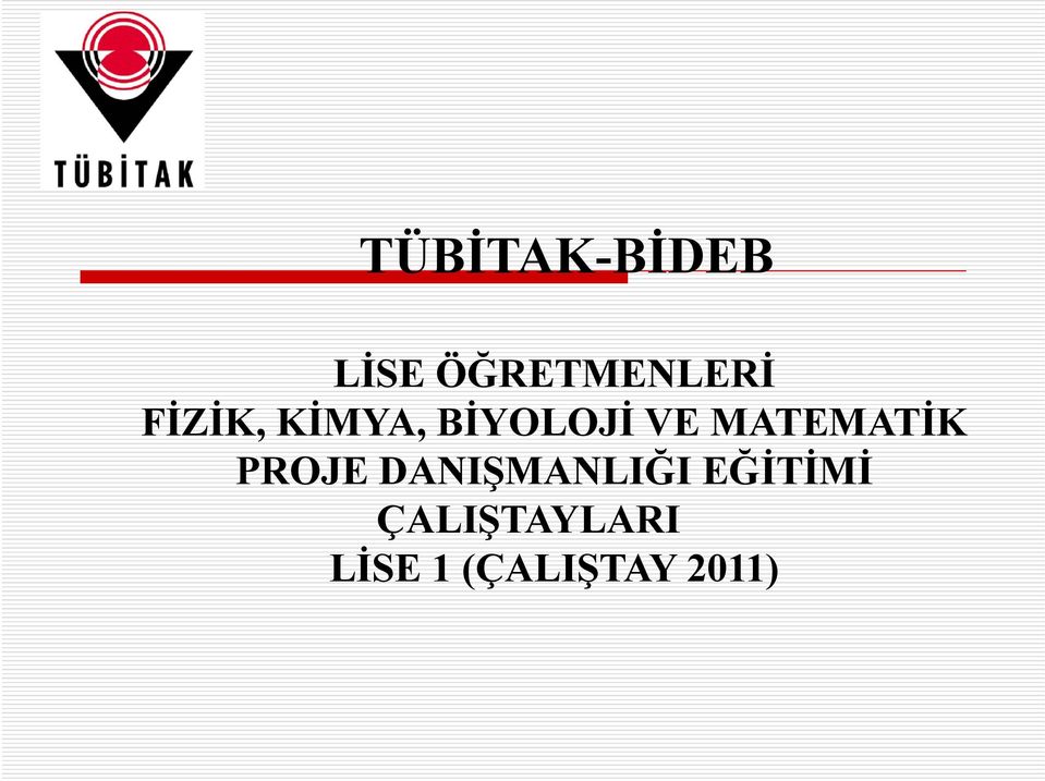 MATEMATİK PROJE DANIŞMANLIĞI