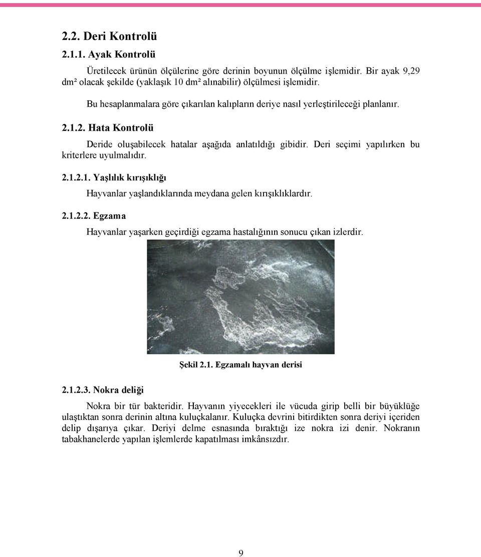 Deri seçimi yapılırken bu kriterlere uyulmalıdır. 2.1.2.1. Yaşlılık kırışıklığı Hayvanlar yaşlandıklarında meydana gelen kırışıklıklardır. 2.1.2.2. Egzama Hayvanlar yaşarken geçirdiği egzama hastalığının sonucu çıkan izlerdir.