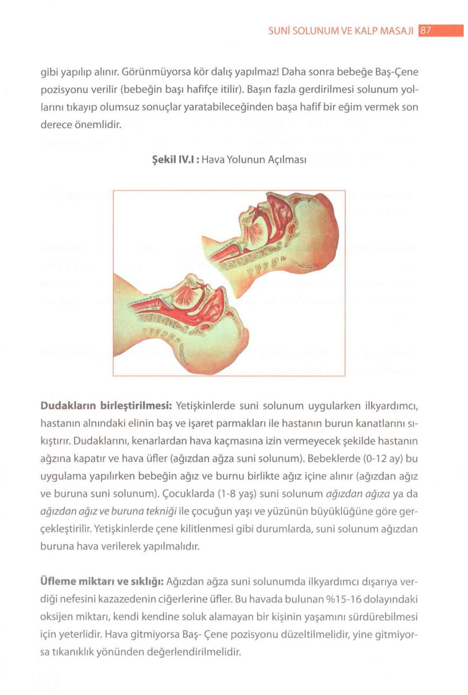 I: Hava Yolunun Açılması Dudakların birleştirilmesi: Yetişkinlerde suni solunum uygularken ilkyardıma, hastanın alnındaki elinin baş ve işaret parmakları ile hastanın burun kanatlarını sıkıştırır.