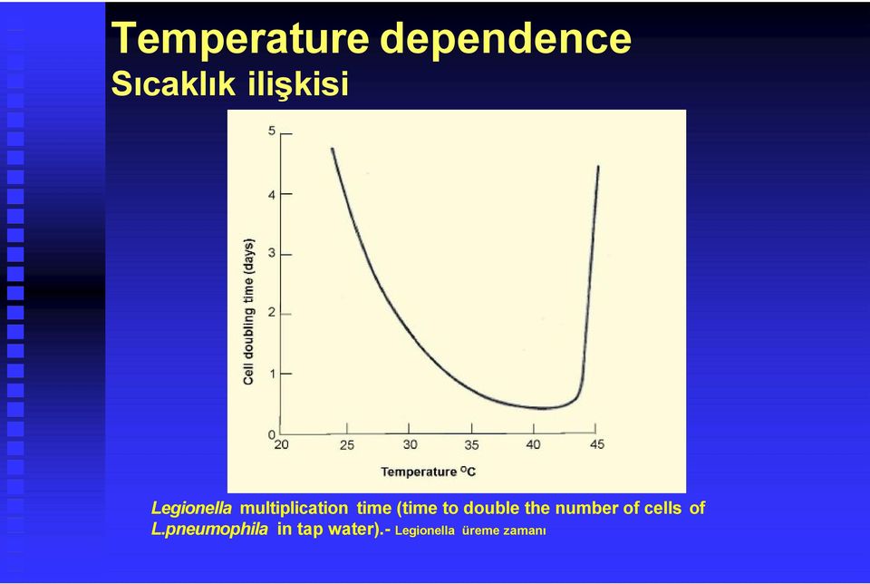 double the number of cells of L.