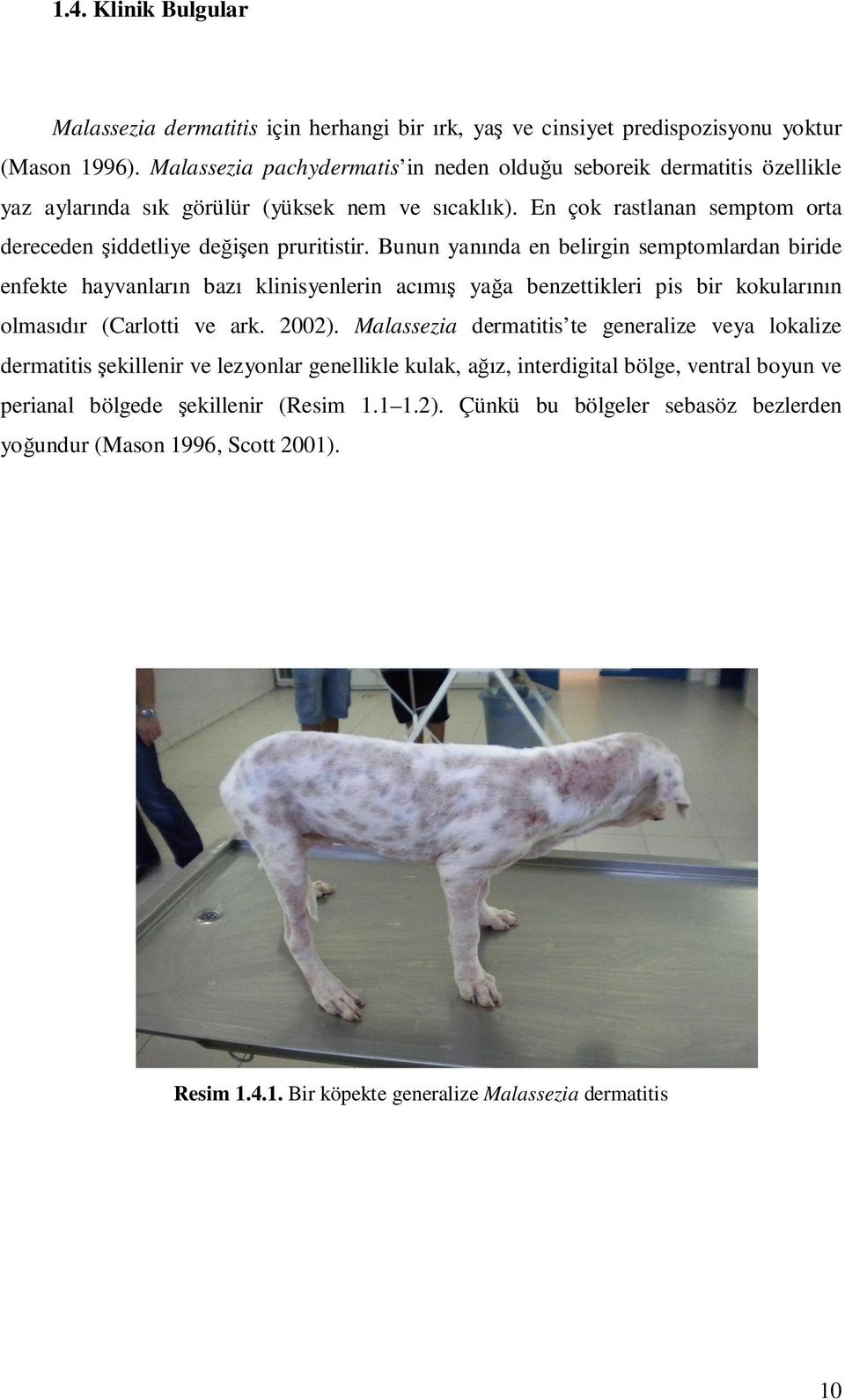 Bunun yanında en belirgin semptomlardan biride enfekte hayvanların bazı klinisyenlerin acımış yağa benzettikleri pis bir kokularının olmasıdır (Carlotti ve ark. 2002).