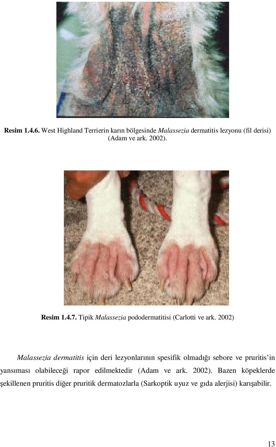 2002) Malassezia dermatitis için deri lezyonlarının spesifik olmadığı sebore ve pruritis in yansıması