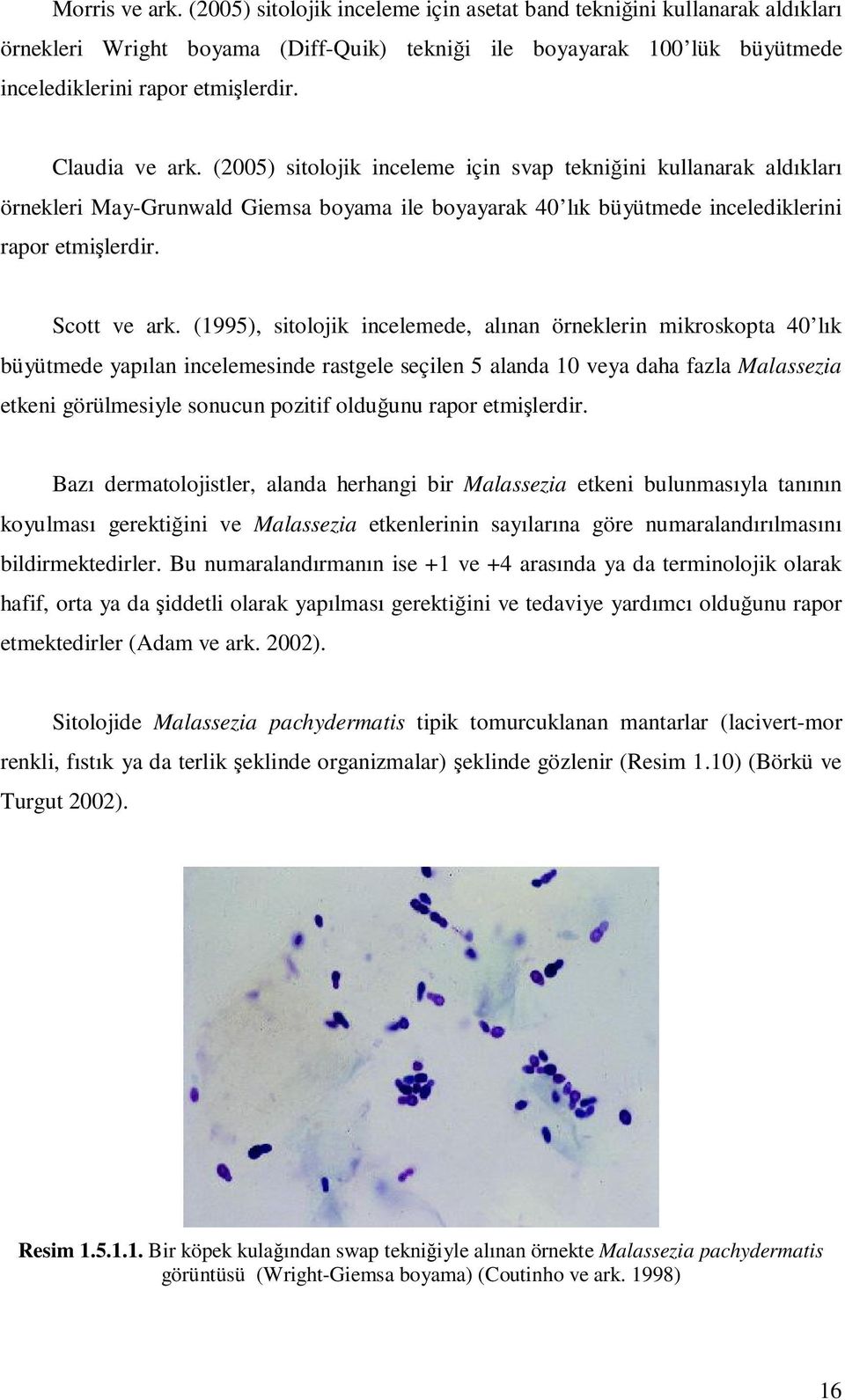(1995), sitolojik incelemede, alınan örneklerin mikroskopta 40 lık büyütmede yapılan incelemesinde rastgele seçilen 5 alanda 10 veya daha fazla Malassezia etkeni görülmesiyle sonucun pozitif olduğunu