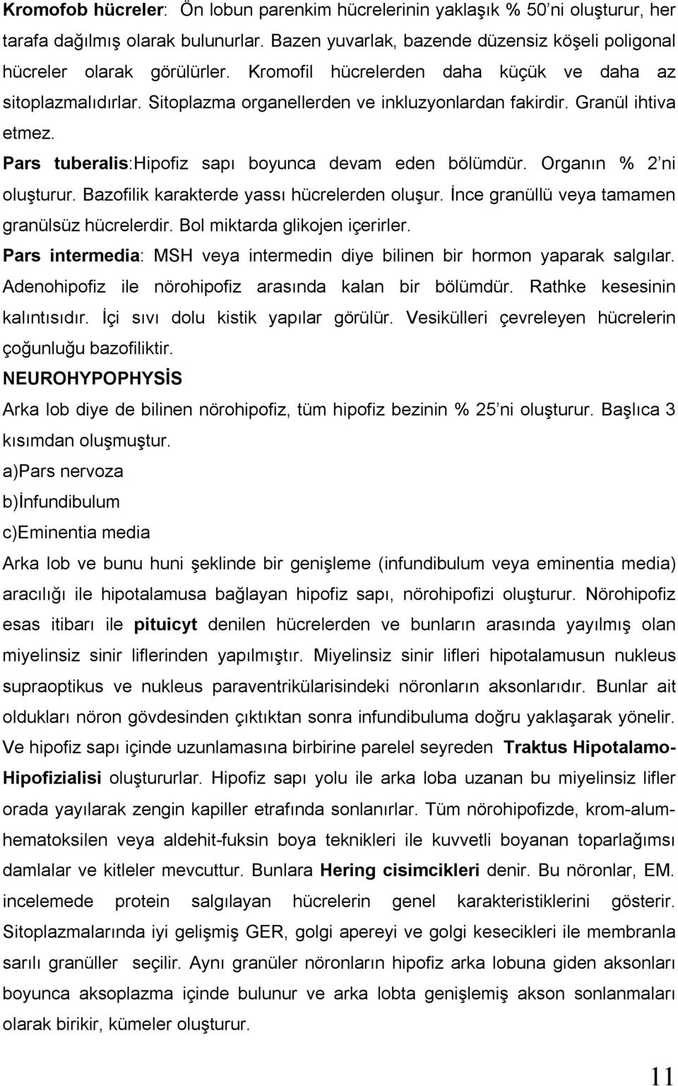 Organın % 2 ni oluşturur. Bazofilik karakterde yassı hücrelerden oluşur. İnce granüllü veya tamamen granülsüz hücrelerdir. Bol miktarda glikojen içerirler.