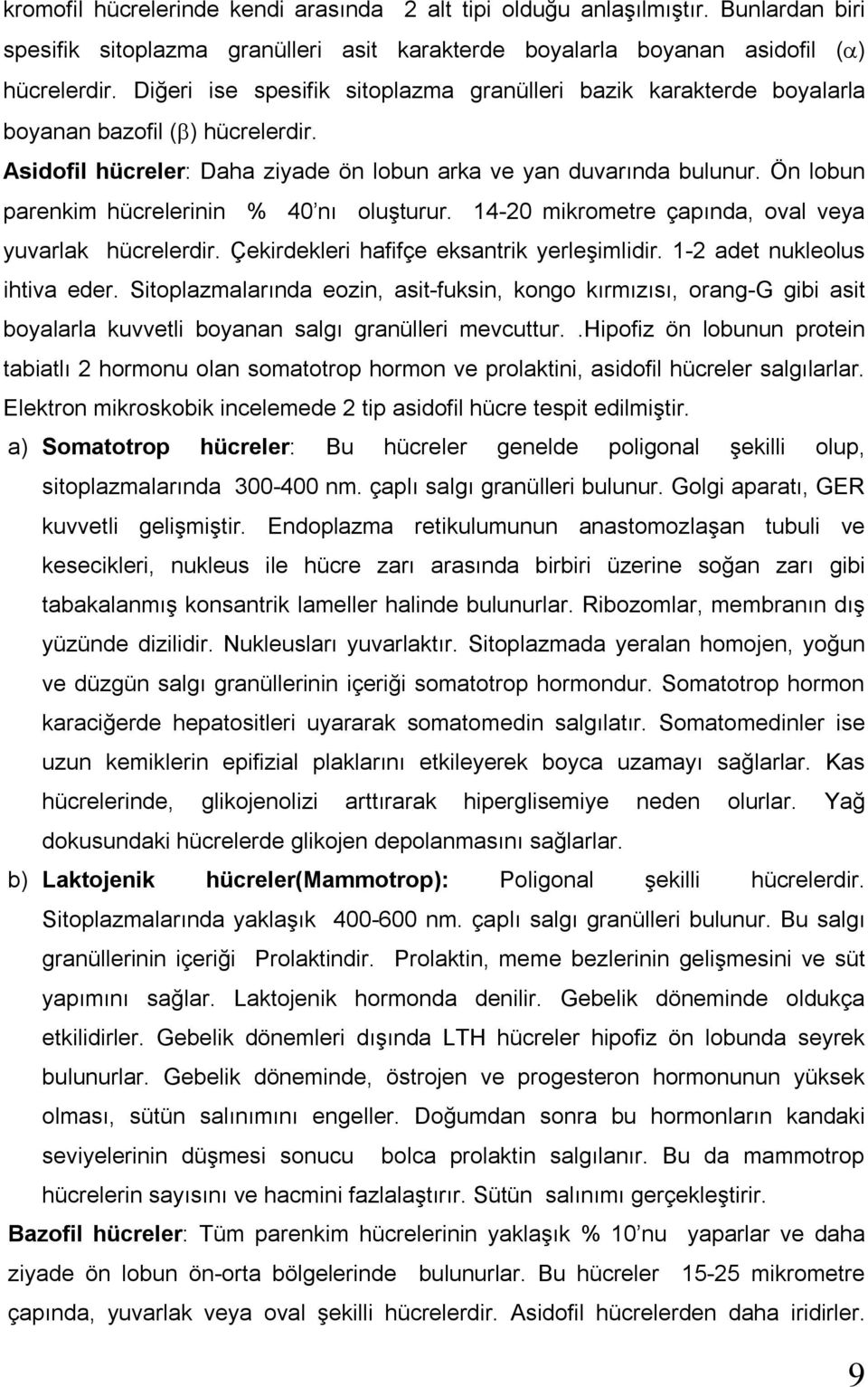 Ön lobun parenkim hücrelerinin % 40 nı oluşturur. 14-20 mikrometre çapında, oval veya yuvarlak hücrelerdir. Çekirdekleri hafifçe eksantrik yerleşimlidir. 1-2 adet nukleolus ihtiva eder.