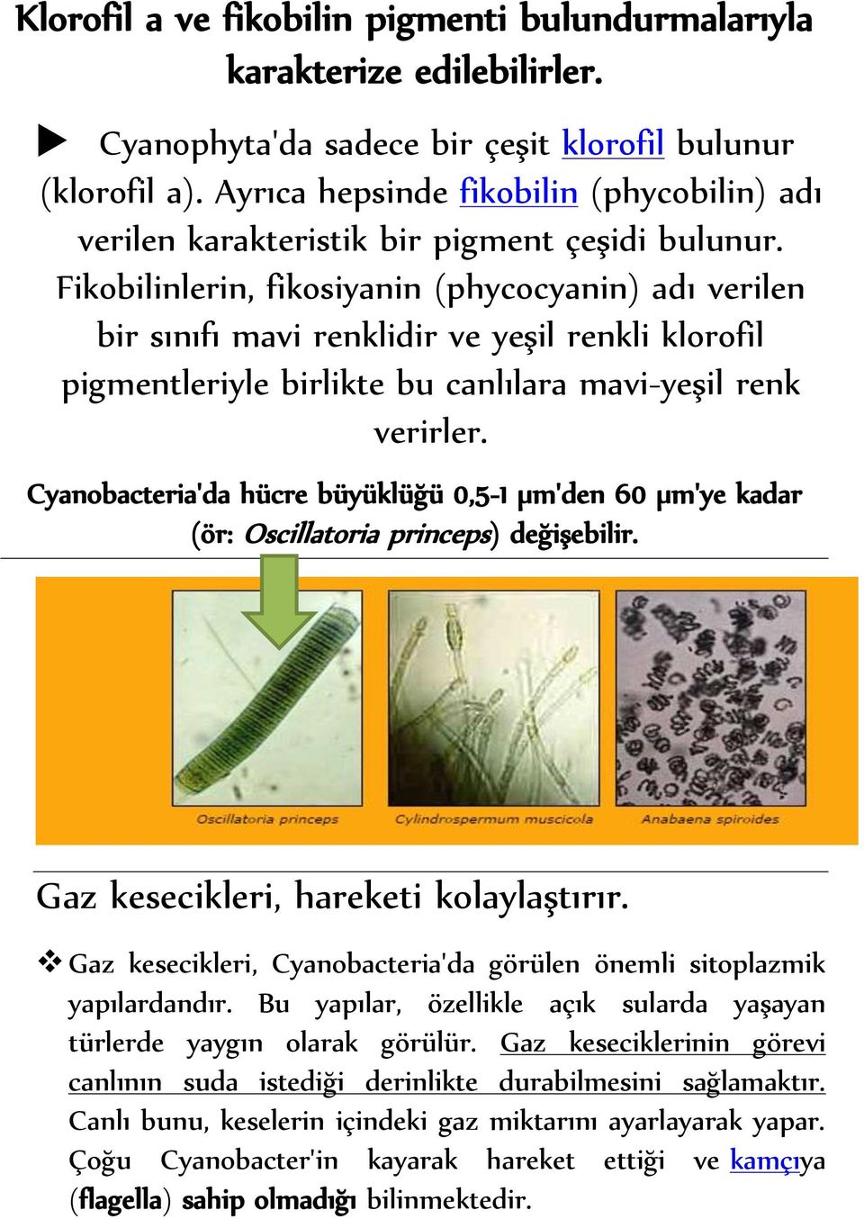 Fikobilinlerin, fikosiyanin (phycocyanin) adı verilen bir sınıfı mavi renklidir ve yeşil renkli klorofil pigmentleriyle birlikte bu canlılara mavi-yeşil renk verirler.