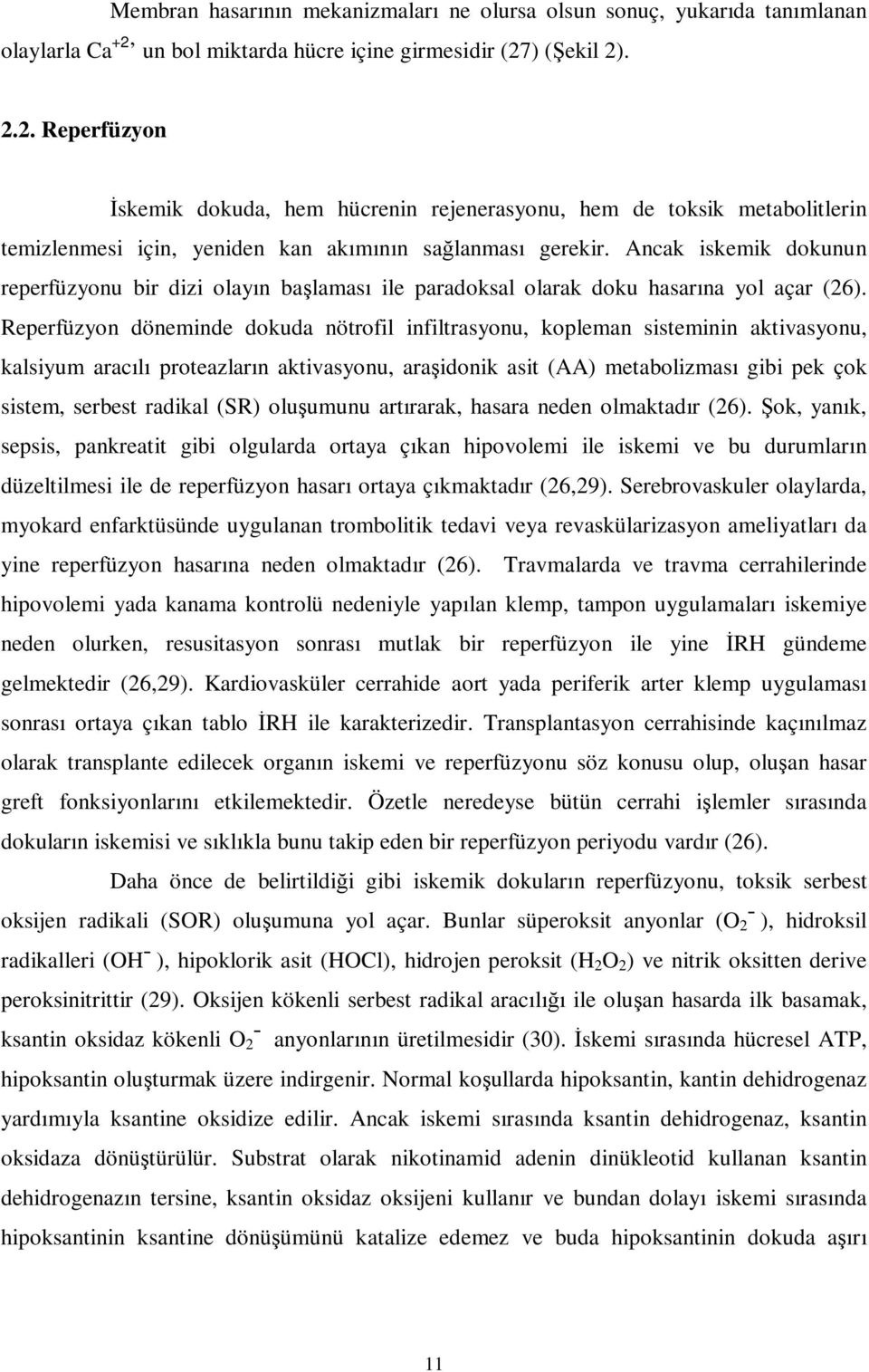 Ancak iskemik dokunun reperfüzyonu bir dizi olayın başlaması ile paradoksal olarak doku hasarına yol açar (26).