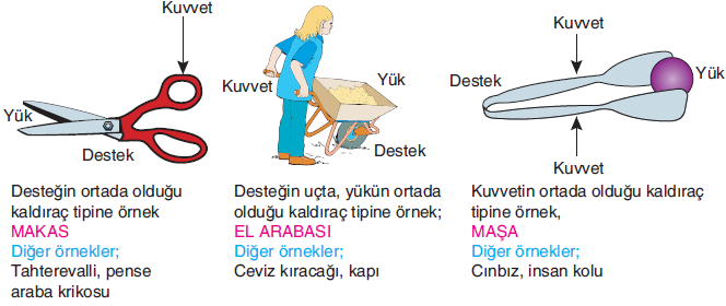 C-Kuvvetin Ortada Olduğu Kaldıraçlar (3.