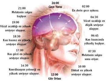 Gece uykusu zamanında yapıldığında gün içindeki antrenman arası 30-45 dakikalık kestirmeler yeterli olacaktır.