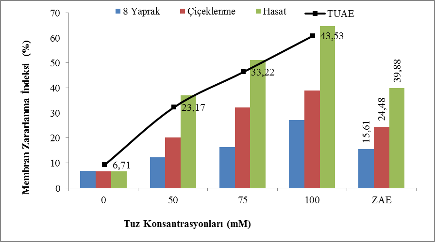 Küçükkömürcü (2011), tuzluluk ve kuraklık streslerine tolerans bakımından bamya genotiplerinin taranması ile ilgili çalışmasında, tuz stresi koşullarında kuraklığa nazaran daha belirgin olarak hücre