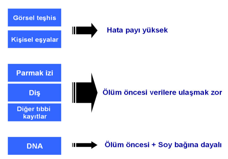 8 Şekil 2.