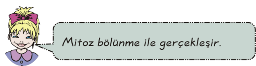 A) Boşaltım Solunum B) Terleme Fermantasyon C) Fotosentez Solunum D) Fotosentez Terleme 120. 118.