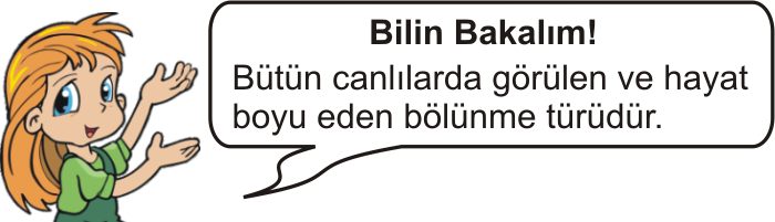 33. 35. Fotosentezle ilgili aşağıdaki öğrencilerden hangisinin verdiği bilgi yanlıştır? A) Yukarıda azot döngüsü şematize edilmiştir. Numaralandırılan canlılarla ilgili, I.