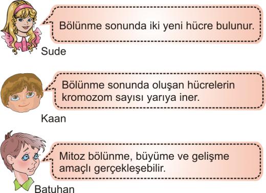 42. 44. Çuha çiçeği bitkisinin kırmızı çiçekli bir türü, sıcaklığı 30-35 o C olan çok nemli ortamda beyaz çiçekler açar.