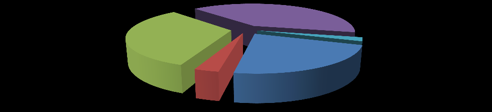 III - FAALİYETLERE İLİŞKİN BİLGİ VE DEĞERLENDİRMELER A - MALİ BİLGİLER Başkanlık bütçesinin 2012 yılına ait uygulama sonuçları ve temel mali tablolara ait açıklamalar aşağıda yer almaktadır.