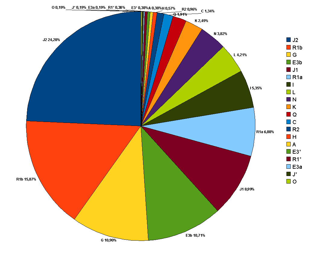 % 24 J2 % 5 I % 7 R1a % 16 R1b % 9 J1 % 11 E3b %