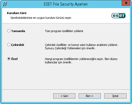 Özel yükleme: Yüklemek istediğiniz özellikleri seçmenize olanak sağlar. ESET File Security ürününü yalnızca ihtiyacınız olan bileşenlerle özelleştirmek istediğinizde bu seçenek kullanılabilir.